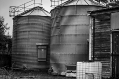 IMG_2327-Enhanced-NR